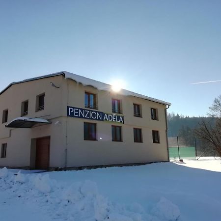 Hotel Penzion Adela Rožnov pod Radhoštěm Exterior foto